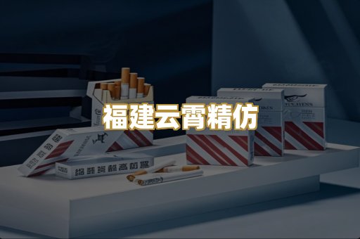 福建云霄精仿
